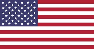american flag-St Clair Shores